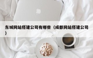 驻马店东城网站搭建公司有哪些（成都网站搭建公司）